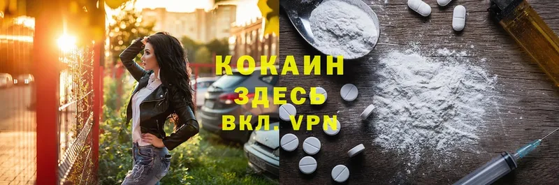 Cocaine Fish Scale  Великий Устюг 